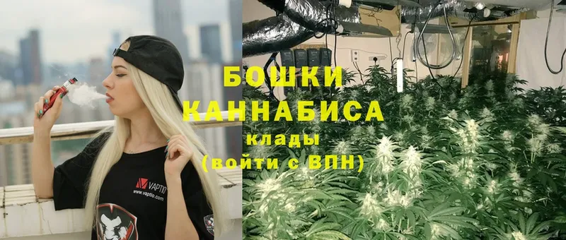 Шишки марихуана Bruce Banner  где продают   МЕГА зеркало  Реутов 